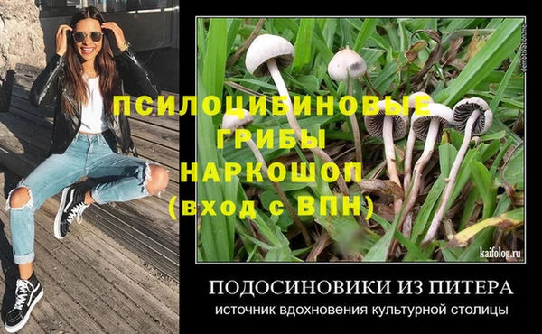 кокс Алзамай
