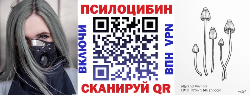 где купить наркоту  Анжеро-Судженск  Псилоцибиновые грибы Cubensis 